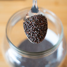 Load image into Gallery viewer, Mustard Seeds Organic (100g)