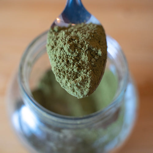 Kelp Powder - Organic (100g)