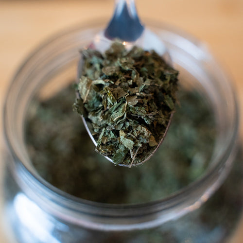 Nettle  (100g)