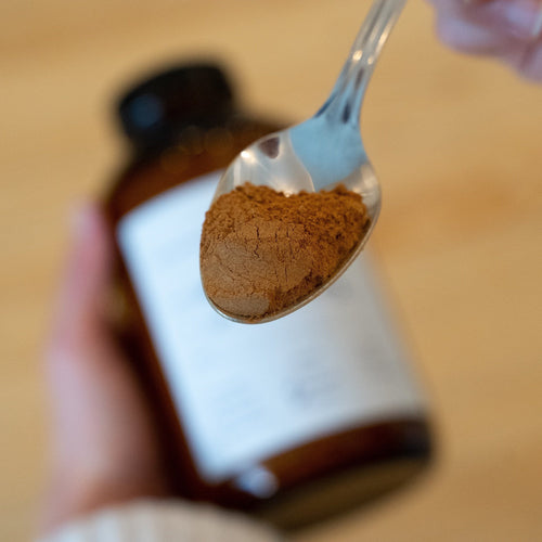 Reishi Powder - Organic (100g)