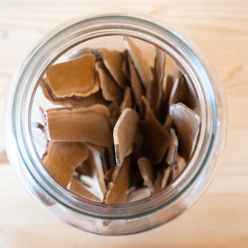 Reishi Mushroom Slices - Organic (100g)