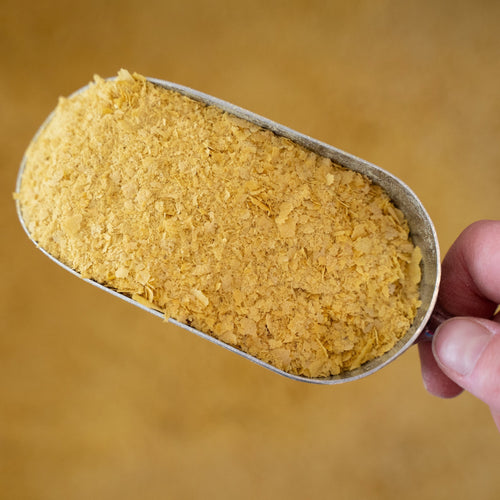 Nutritional Yeast (100g)